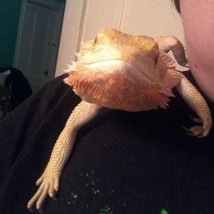 Meet your Posher, Stacy